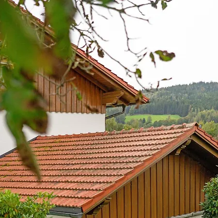 Schneider Regen